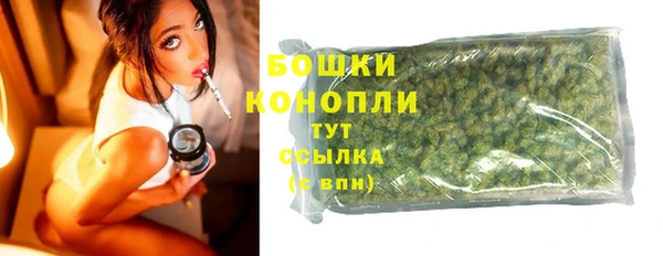 ГАЛЛЮЦИНОГЕННЫЕ ГРИБЫ Абаза