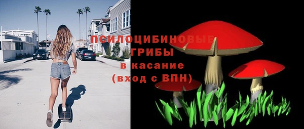 твердый Абинск