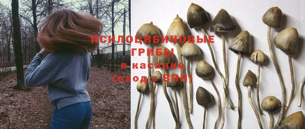 твердый Абинск