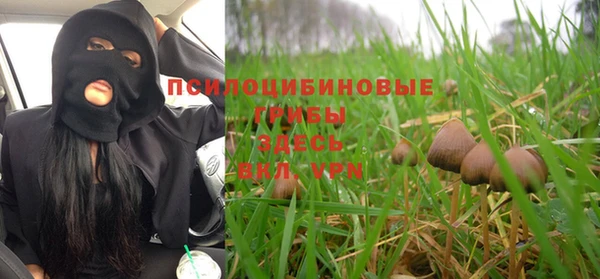 ГАЛЛЮЦИНОГЕННЫЕ ГРИБЫ Абаза