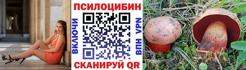 купить закладку  это Telegram  Псилоцибиновые грибы Psilocybine cubensis  Остров 